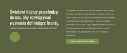 Światowi Liderzy - Responsywne Szablony Stron Internetowych