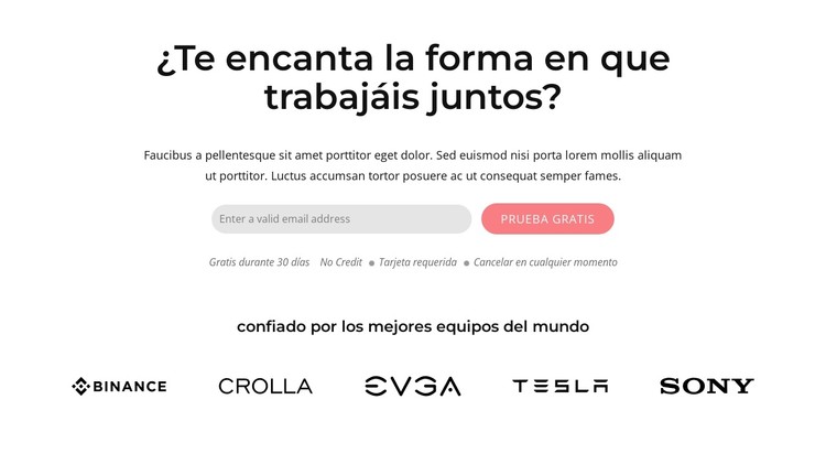 Bloque con forma y marcas Plantilla CSS