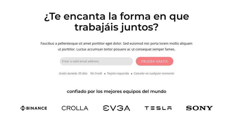 Bloque con forma y marcas Plantilla de sitio web