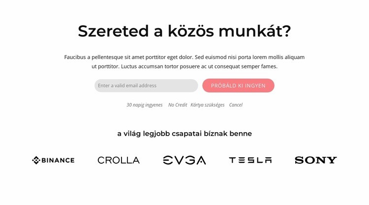 Blokk formával és márkákkal HTML Sablon