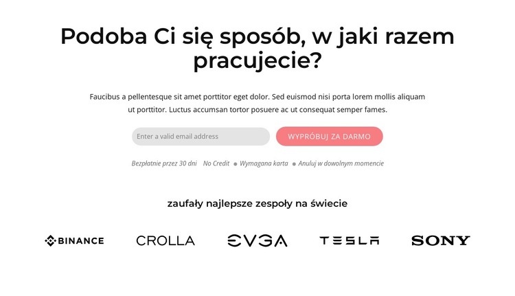 Blok z formą i markami Makieta strony internetowej