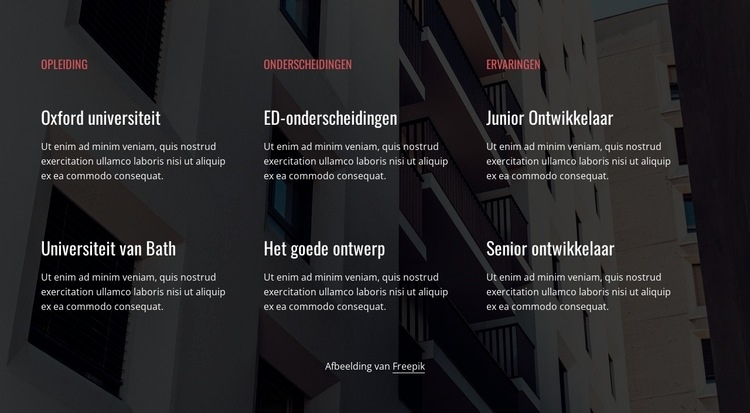 Opleiding, onderscheidingen en ervaring Website mockup