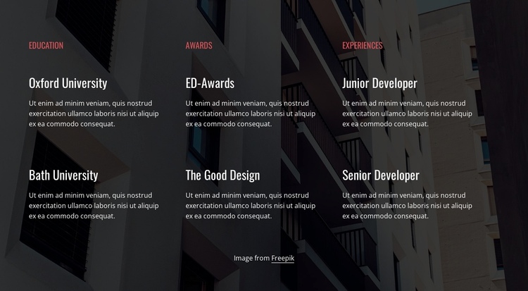 Education, awards and experience One Page Template