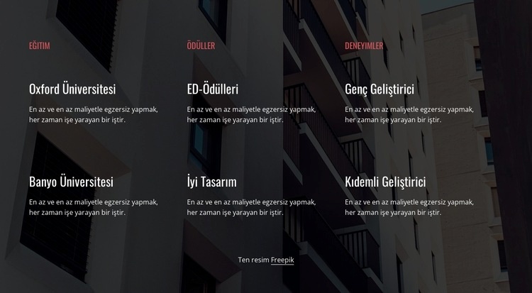 Eğitim, ödüller ve deneyim Şablon