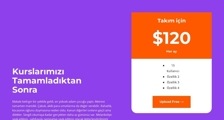 Doğru tarifeyi seçin Web Sitesi Şablonu