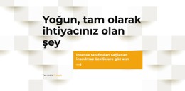 Bak Içinde Ne Var E-Ticaret Web Sitesi