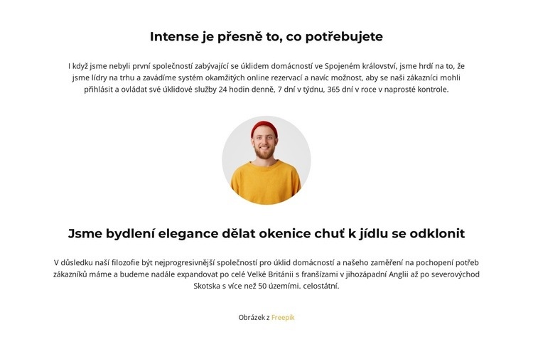 Lehký copywriting Šablona HTML