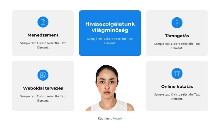 Szakképzett személy Weboldal tervezés