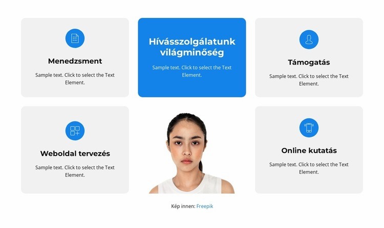 Szakképzett személy WordPress Téma