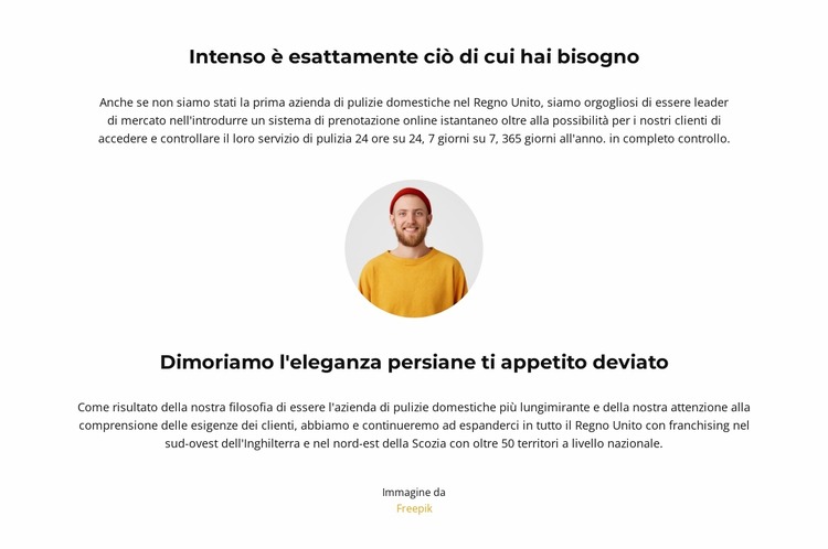 Copywriting leggero Modello Joomla