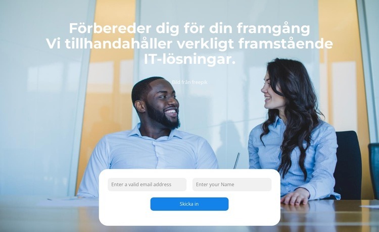 Snabb konsultation online Webbplats mall