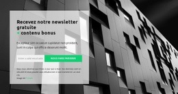 Nous Construisons Et Vendons Conception De Sites Web