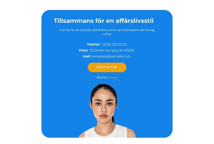 Telefoner och viktig info CSS -mall