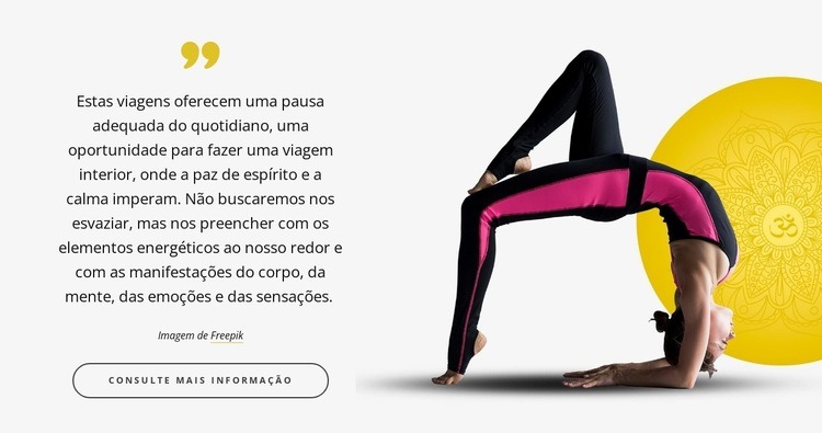 Os instrutores são incríveis Modelo