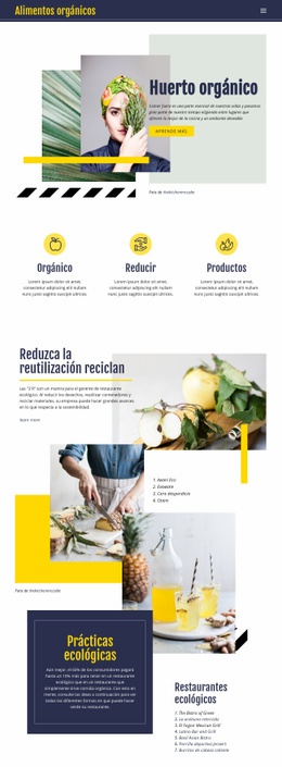 Alimentos Orgánicos Naturales: Plantilla De Sitio Web HTML