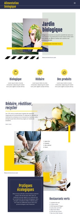 Aliments Naturels Biologiques – Créez Un Modèle Étonnant