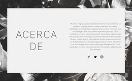 Diseño HTML Para Sobre El Mejor Diseñador