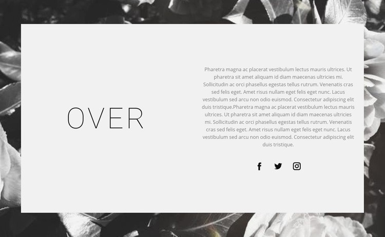 Over de beste ontwerper Website ontwerp