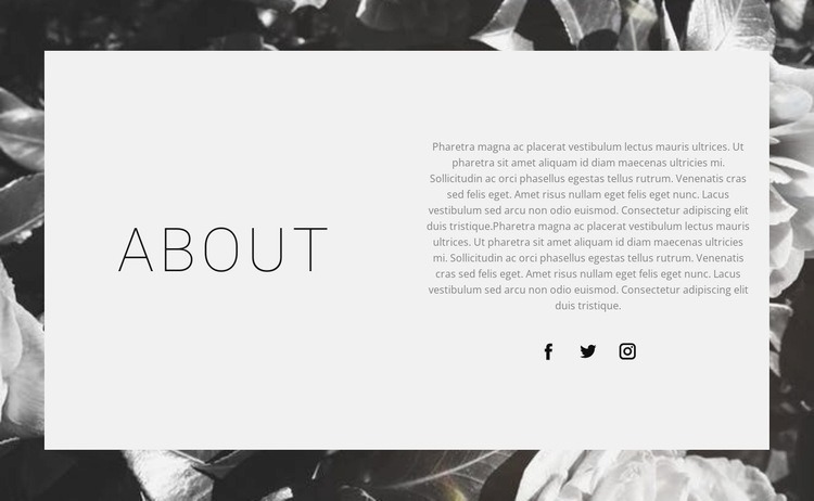 About the best designer Squarespace Template Alternative