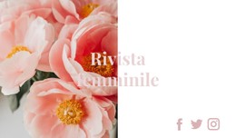 La Migliore Rivista Femminile Modello CSS