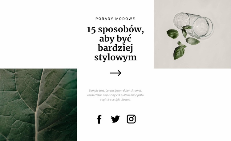 Jak uzyskać stylowy wygląd Kreator witryn internetowych HTML