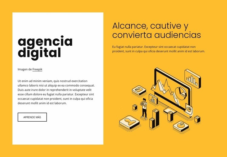 Marketing digital para marcas en crecimiento Diseño de páginas web