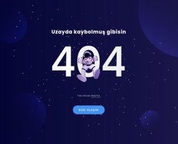 404 Sayfası Google Hızı
