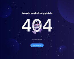 404 Sayfası - Duyarlı WordPress Teması