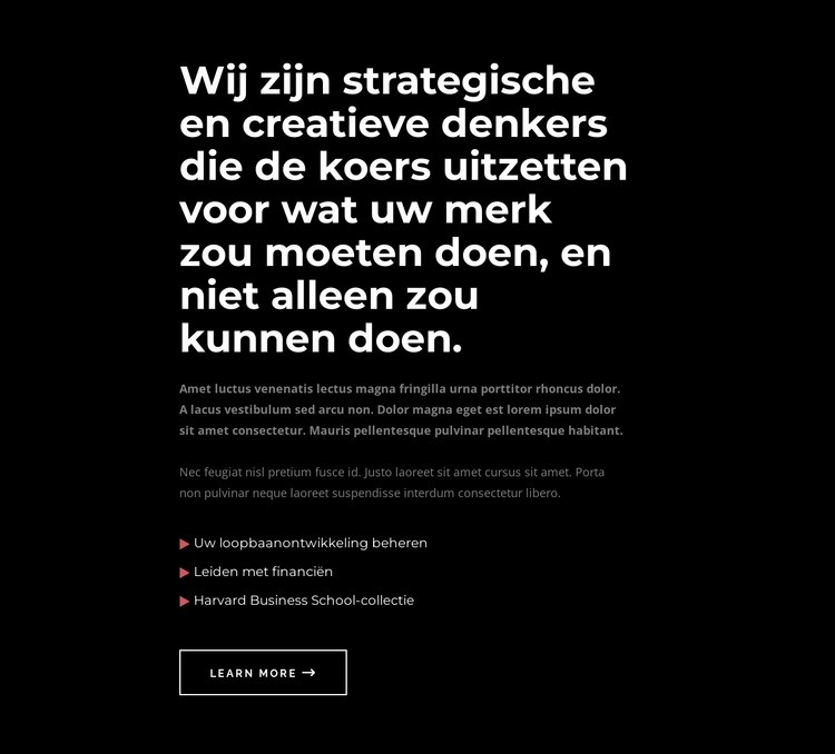 Wij zijn creatieve denkers Html Website Builder