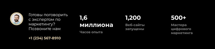 Мы гарантируем нашу работу Шаблон веб-сайта