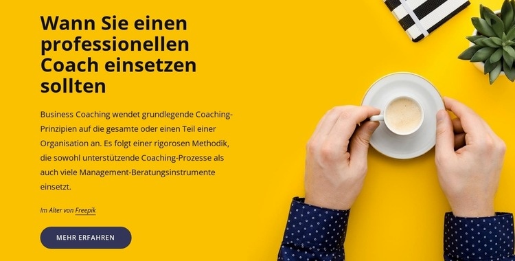 Professionelles Coaching Website-Modell