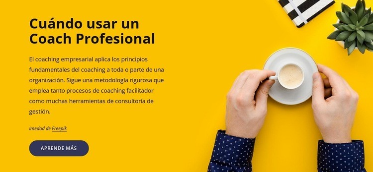 Coaching profesional Maqueta de sitio web