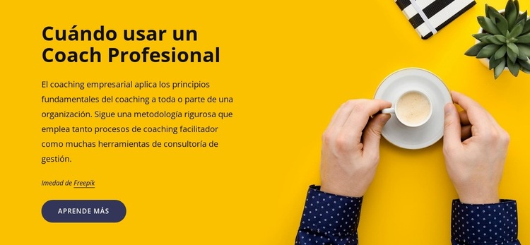 Coaching profesional Plantilla de sitio web