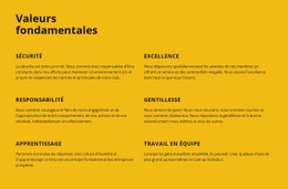 Disposition CSS Pour Valeurs Fondamentales De L'Entreprise