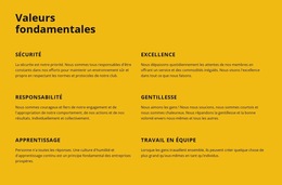 Valeurs Fondamentales De L'Entreprise - Modèle De Page De Destination