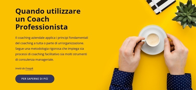 Coaching professionale Un modello di pagina