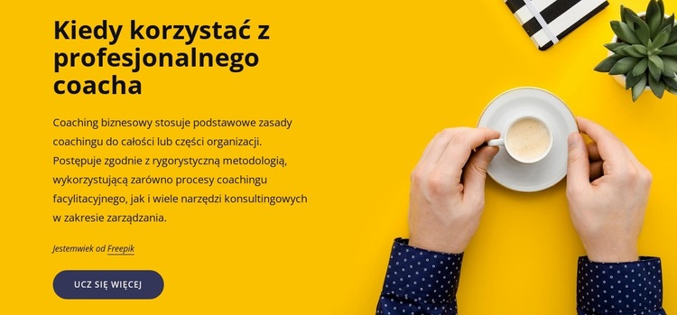 Profesjonalny coaching Szablon witryny sieci Web