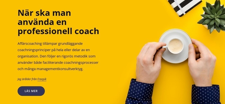 Professionell coachning CSS -mall