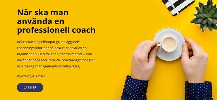 Professionell coachning HTML-mall