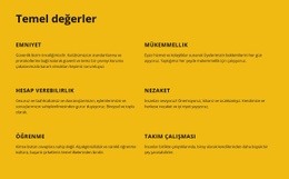 Şirket Temel Değerleri - Web Sitesi Tasarımı Ilhamı