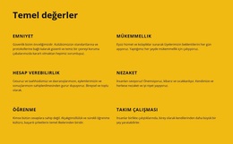 Herhangi Bir Cihaz Için WordPress Teması Şirket Temel Değerleri