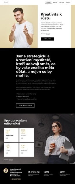 Šablona CSS Pro Jsme Strategickí Kreativní Myslitelé