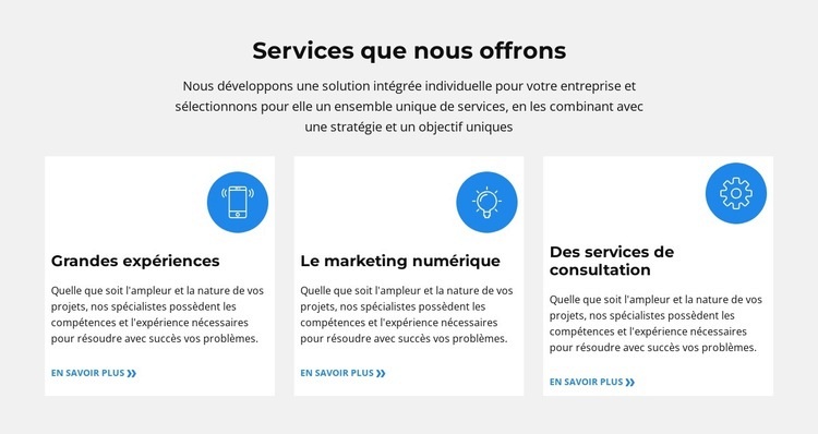 Solution intégrée individuelle Conception de site Web