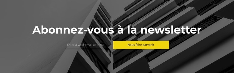 Abonnez-vous à la newsletter Conception de site Web