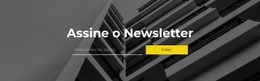 Criador De Sites Para Assine O Newsletter