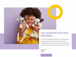 Los Cachorros Son Muy Divertidos - Creador De Sitios Web Sencillo