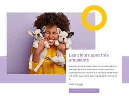 Les Chiots Sont Très Amusants - Créateur De Site Web Simple