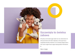 Pobierz Motyw WordPress Dla Pupile To Świetna Zabawa
