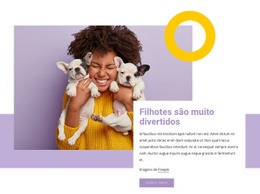 Os Filhotes São Muito Divertidos - Construtor De Sites Simples