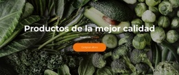 Diseño Web Gratuito Para Fresco Y Delicioso